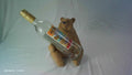 Brown Bear Wine Holder