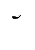 Whale pre-cut glass product